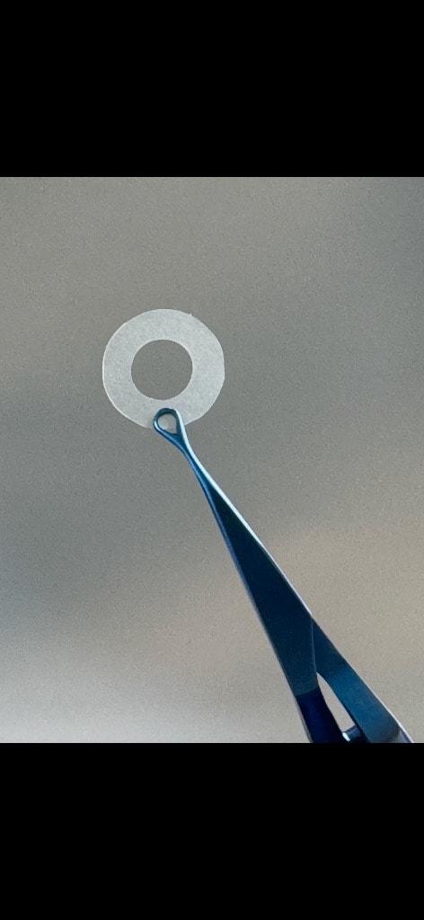 Aurora amniotic membrane graft with forceps