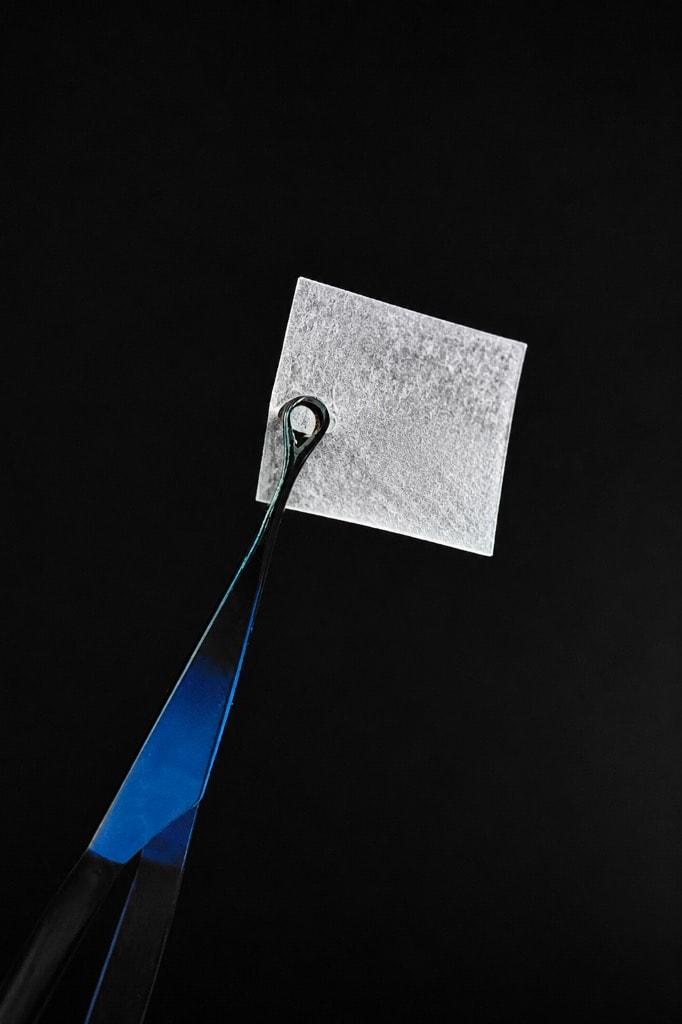 Tetra amniotic membrane