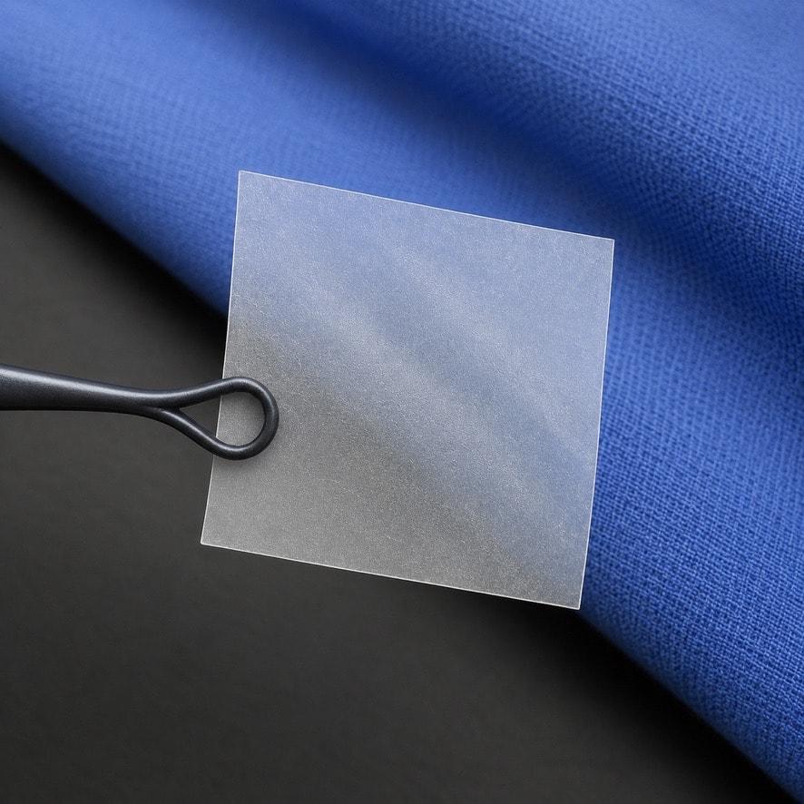 Tetra dehydrated amniotic membrane allograft held with surgical forceps
